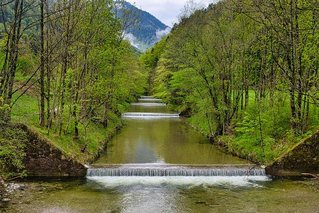 Přínos umělé inteligence pro konkurenceschopnost