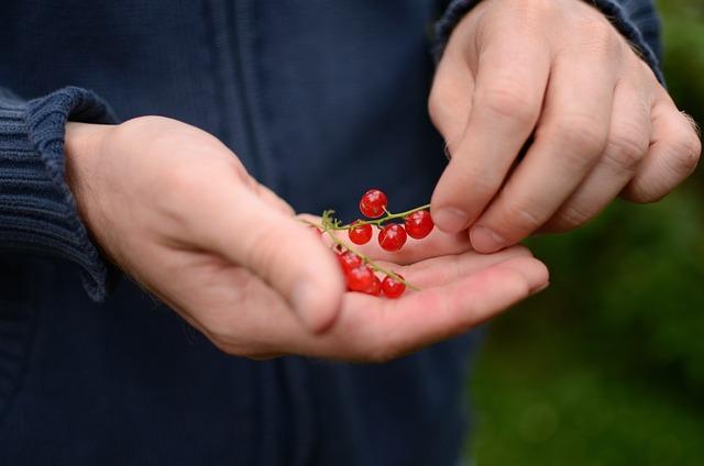 Důležité kroky při ‍placení pokuty ​za trestný​ čin