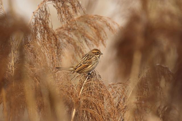 Jak pojistit přístup k účtu po smrti?